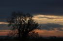 Sky_Leeming_20-12-2018_4.jpg