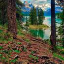 Spirit_Island_D707556_10x10.jpg