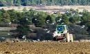 Spring_Plough-1.jpg