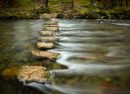 St_Catherines_stepping_stones_wpf.jpg