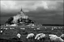 St_Michaels_Mount_pure_mono.jpg