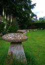 Stone-Stools.jpg