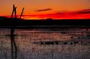 Sunrise-Bosque-8817_web.jpg