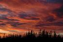 Sunrise4.jpg