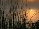 Sunrise_River_Great_Ouse_08-06-05_077.jpg