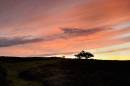 Sunset-Porlock-Hill.jpg