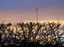 Sunset-with-Thorns.jpg