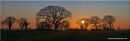 Sunset_Panarama_Web_edited-3.jpg