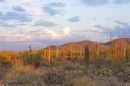 Sunset_on_the_Saguaro_JRE6114.jpg