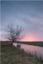 Sutton-stream.jpg