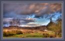 Sutton_Park-3382_3_4_copy.jpg