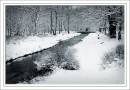 Sutton_Park_3820_copy.jpg