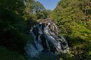 Swallow_Falls_L_web.jpg