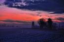 THE_FIFTHWALK_7A.jpg