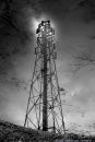 TOWER_IN_MOONLIGHT.jpeg