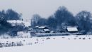 TVA34767.jpg