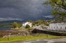 Talisker_Distillery_Carbost_Isle_of_Skye.jpg