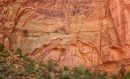 Tapestry_701593-96_17x10b_web.jpg