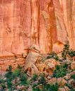 Tapestry_wall-701606_11x14a_web.jpg