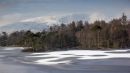 Tarn_Hows_wpf-1.jpg