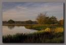 Tatton_1.jpg