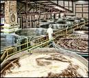 Tequila_factory.jpg