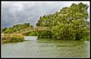 Thames_Path_Cricklade_to_Buscot_Weir_073_edited-2.jpg