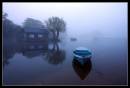 The-Flood.jpg