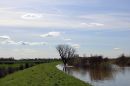 The-Levee.jpg