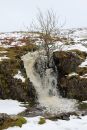 The-Thaw.jpg
