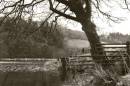 The-walker-by-the-lake.jpg