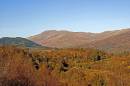 The_Dukes_Pass_1oct.jpg