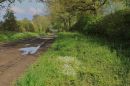 The_Essex_Countryside.jpg