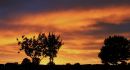 The_Evening_Sky_At_8_15_pm_to_day.jpg