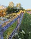 The_Fence.jpg