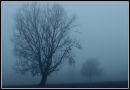 The_Fog.jpg