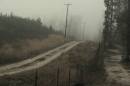 The_Fog1.jpg