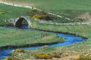 The_Old_Bridge_at_Forss.jpg
