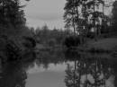The_Pond1.jpg