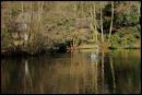 The_Pond2.jpg
