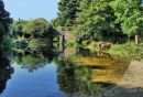 The_River_Gipping_3.jpg