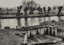 The_River_Stour1.jpg