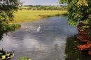 The_River_Stour_Dedham.JPG