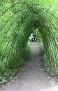 The_Tunnel1.jpg