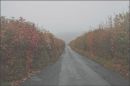 The_vanishing_point.jpg
