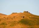 ThreefingerrockLM240706.jpg