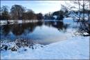 Tong_Park_Snow.jpg