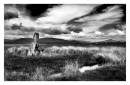 Tooth1B_W_WPF.jpg