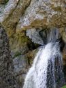 Torrent.jpg