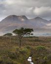 Torridon_October_2012-5.jpg